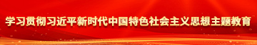 大几把草骚逼学习贯彻习近平新时代中国特色社会主义思想主题教育